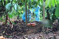 Tá hỏa phát hiện nửa phần thi thể nam giới tại rẫy cà phê