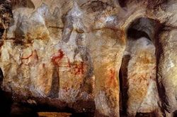 Người Neanderthal vẽ tranh hang động từ cách đây 64.000 năm