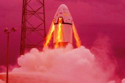 Cựu kỹ sư SpaceX: 'Chúng tôi từng bị bỏ đói trên đảo'