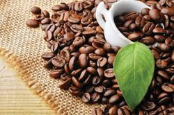 Giá cà phê hôm nay 3/3: Dư mua đẩy giá Robusta thấp nhất 1 tuần qua