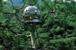 Top 10 ngôi nhà 'tổ chim' độc đáo trên thế giới