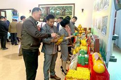 Hiệu quả 'kép' đưa sản phẩm OCOP vào hoạt động du lịch