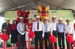 Bến Tre xây dựng khu phức hợp thu mua và chế biến bưởi da xanh