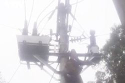 Điện Biên: Trèo lên cột điện cao thế, một người bị điện giật trọng thương