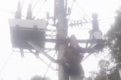 Trèo lên cột điện cao thế bị điện giật trọng thương