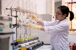 5 ngành học của ĐH Quốc gia Hà Nội được xếp hạng thế giới