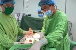 Mổ thành công sỏi bàng quang là ống sonde bỏ quên 9 năm trong cơ thể