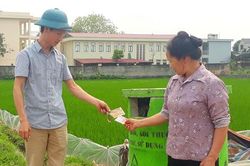 Xây dựng những miền quê xanh, an toàn