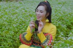 NỒNG NÀN LAI CHÂU