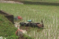 Lao xuống ruộng lúa, thanh niên tử vong cạnh xe máy ở Hà Nội