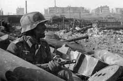 Bí ẩn 'đội quân' chuột và nỗi ám ảnh kinh hoàng của Đức Quốc xã trong Trận Stalingrad
