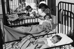Vụ cướp nguồn cung vaccine bại liệt chấn động Canada năm 1959