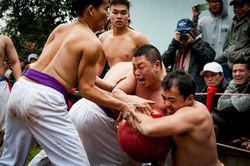 Lễ hội vật cầu làng Thúy Lĩnh
