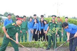 'Tuyến đường thanh niên xanh'