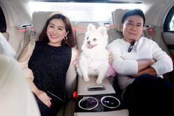 Nghi vấn hôn nhân Kiều Linh - Mai Sơn tan vỡ