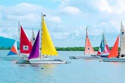 Vũng Tàu Marina kêu cứu Thủ tướng