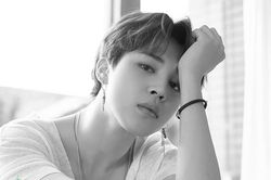 Fan Jimin BTS gửi xe tải biểu tình suốt 8 tuần trước cửa BigHit
