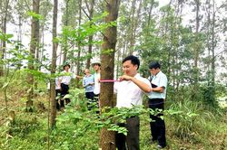 Tuyên Quang tăng cường khả năng tiếp cận với chuỗi cung ứng từ các FTAs thế hệ mới