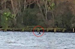 Quái vật hồ Loch Ness xuất hiện sau nghi ngờ đã chết?