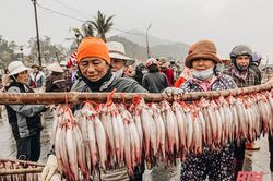 Cá khoai - 'lộc biển' đầu xuân của ngư dân, đặc sản của xứ Thanh