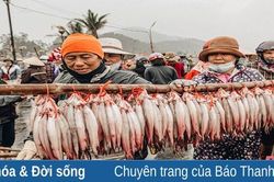 Cá khoai - 'lộc biển' đầu xuân của ngư dân, đặc sản của xứ Thanh