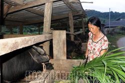 Ðộng lực để phụ nữ vươn lên
