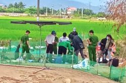 Bị giành chỗ ngủ trong chòi vịt, người đàn ông đánh chết người