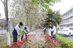 Mái trường thu những 'quả ngọt' đầu mùa