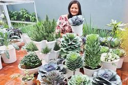 8X Bình Dương dùng nước vo gạo, mắt quả dứa trồng đủ giống rau lạ