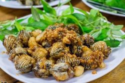 Cách làm sò huyết xào tỏi ngon bá cháy, ăn là nghiền