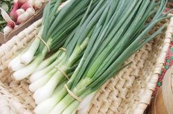 Bài thuốc quý: Những loại rau quen thuộc chữa khỏi những bệnh nguy hiểm không ngờ