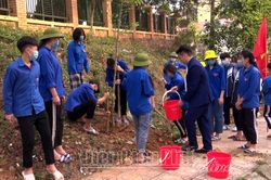 Huyện đoàn Điện Biên Đông tổ chức trồng cây Tháng thanh niên
