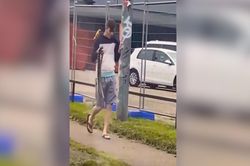 Nam thanh niên cầm rắn tung tăng dạo phố