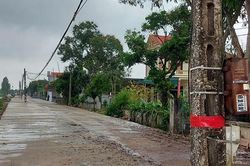 40 chiếc cột điện 'mọc' giữa đường