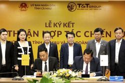 T&T Group muốn đầu tư vào sân bay Cà Mau, làm cao tốc đến Mũi Cà Mau