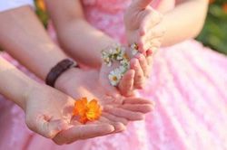 Cô dâu hủy hôn khi biết sự thật về bố của chú rể
