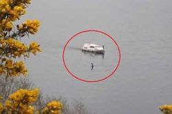 Quái vật hồ Loch Ness xuất hiện ngay cạnh du thuyền