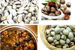 Bí quyết làm sạch cát bẩn trong ngao, sò, ốc cực đơn giản
