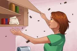 8 dấu hiệu chứng tỏ nhà đang là nơi ẩn náu của sâu bọ