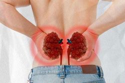 Thực phẩm là 'thần dược' cho thận, tăng sinh lực tốt nhất giúp bạn sống khỏe thọ lâu
