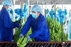 Vì đâu Hoàng Anh Gia Lai lại đẩy khoản dự phòng gần 5.000 tỷ về quá khứ?
