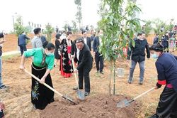 Phát động 'Tết trồng cây đời đời nhớ ơn Bác Hồ'