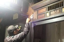 Nhiều di tích ở Hội An bị mối mọt xâm hại nghiêm trọng