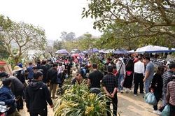 Độc đáo phiên chợ đầu năm ở vùng cao Bắc Hà