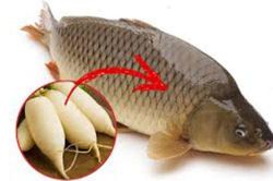 Tuyệt chiêu đánh vảy cá siêu nhanh vô cùng đơn giản