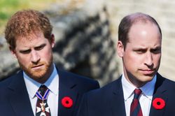 Hoàng tử William và Harry đã không nói chuyện với nhau suốt nhiều tháng