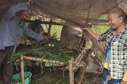 Xóm lao động nghèo đã thoát nghèo