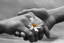 Có một con mắt gọi là lương tâm