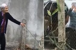 Xúc động clip mẹ già 103 tuổi bịn rịn ra tiễn con gái 80 tuổi, nghẹn ngào nói: 'Lần này nữa thôi, lần sau về không còn mẹ nữa'