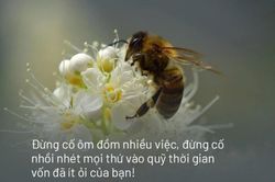 Chỉ cần làm được 1 việc này, con người sẽ bớt được mệt mỏi